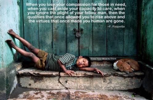 1011857_10151693960158908_413586461_n