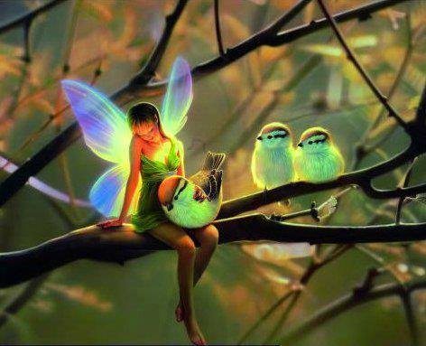 1395822_10151683153072076_407312158_n