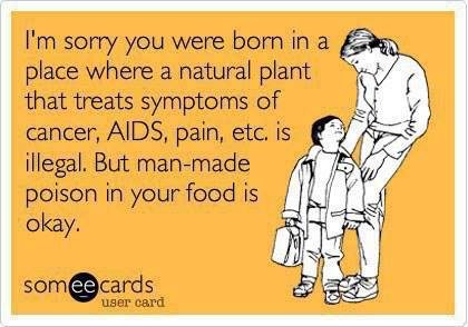 164434_10151711652183908_1979705721_n