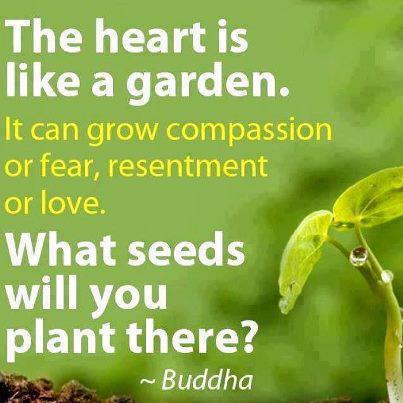 179419_10151560008433908_1615835858_n