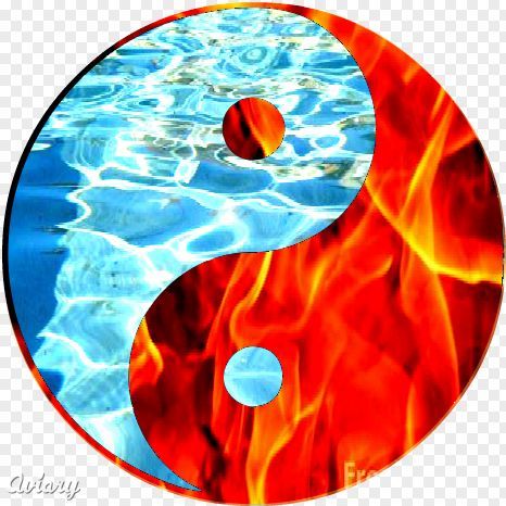 1974260_b085_625x625