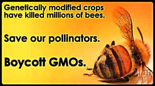 577234_10151758215318908_1393924517_n