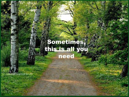 972060_10151730799478908_1441845304_n