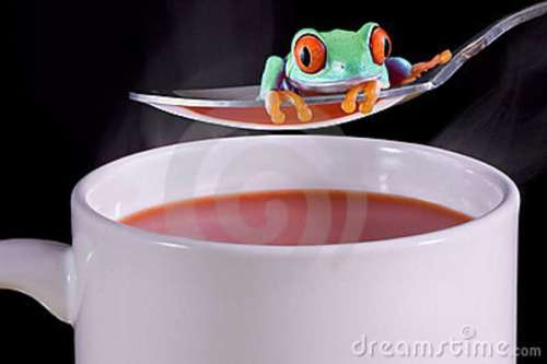 kikker-over-hete-soep-6325430