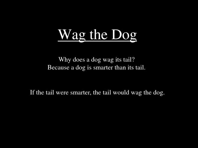 wag-the-dog-lrg