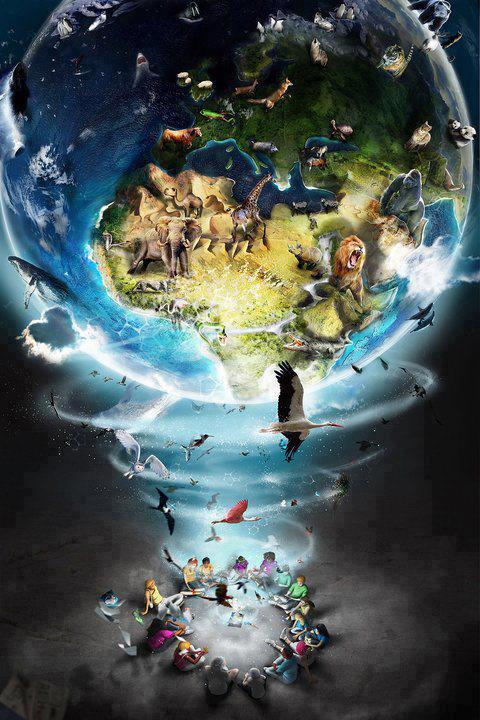 cb25bdcff53071cae675d9b5762aef46_1024