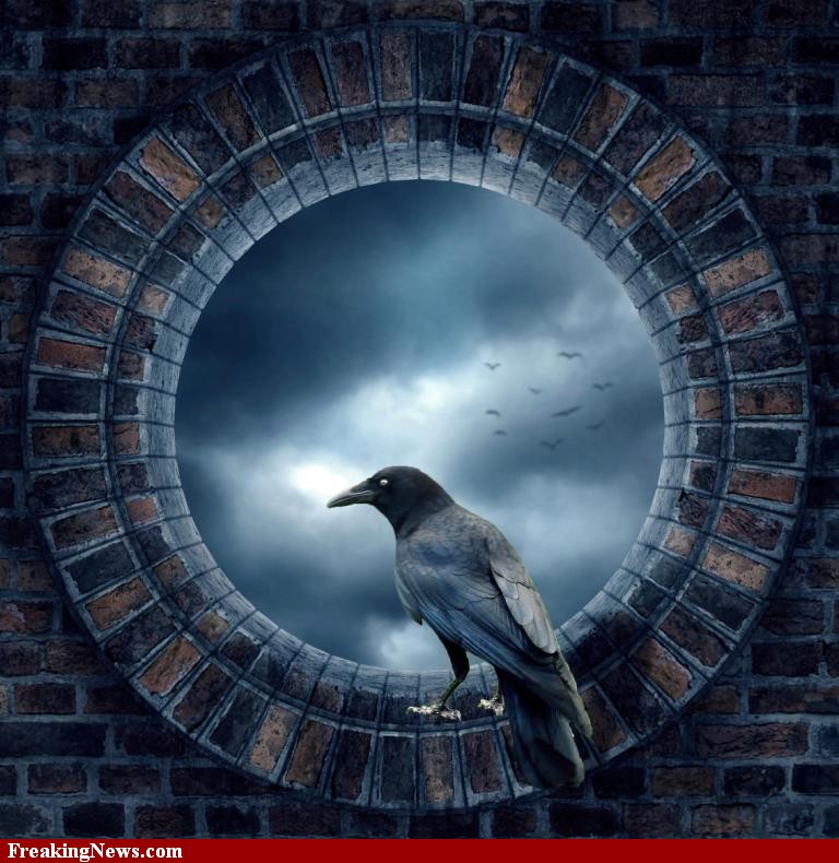 The-Crow-at-the-Window-75450