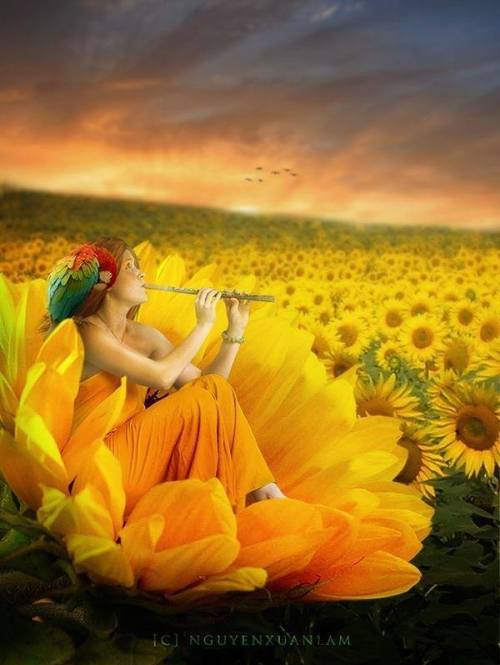 1383338_10151668751747076_399339154_n