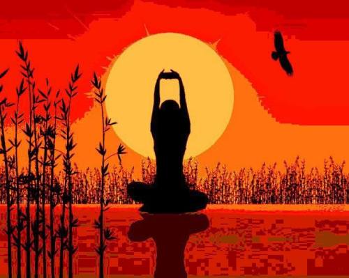 1395268_10151677813882076_1410243034_n