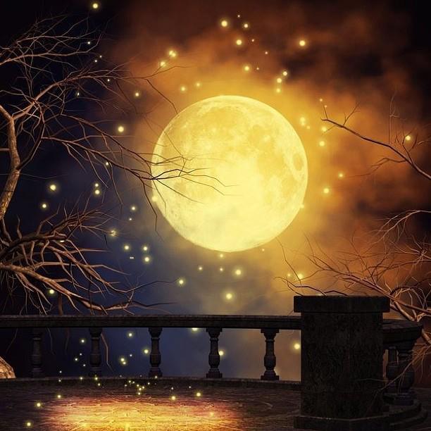 59698_492841330769428_246889476_n