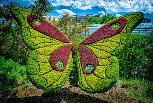plant-sculptures-imaginary-worlds-atlanta-botanical-garden-6